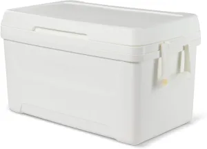 48 QT Ice Chest Cooler, Large Picnic Bag with Handles,cans Cooler,Easy for Camping/Travel/Beach/Kayak/car