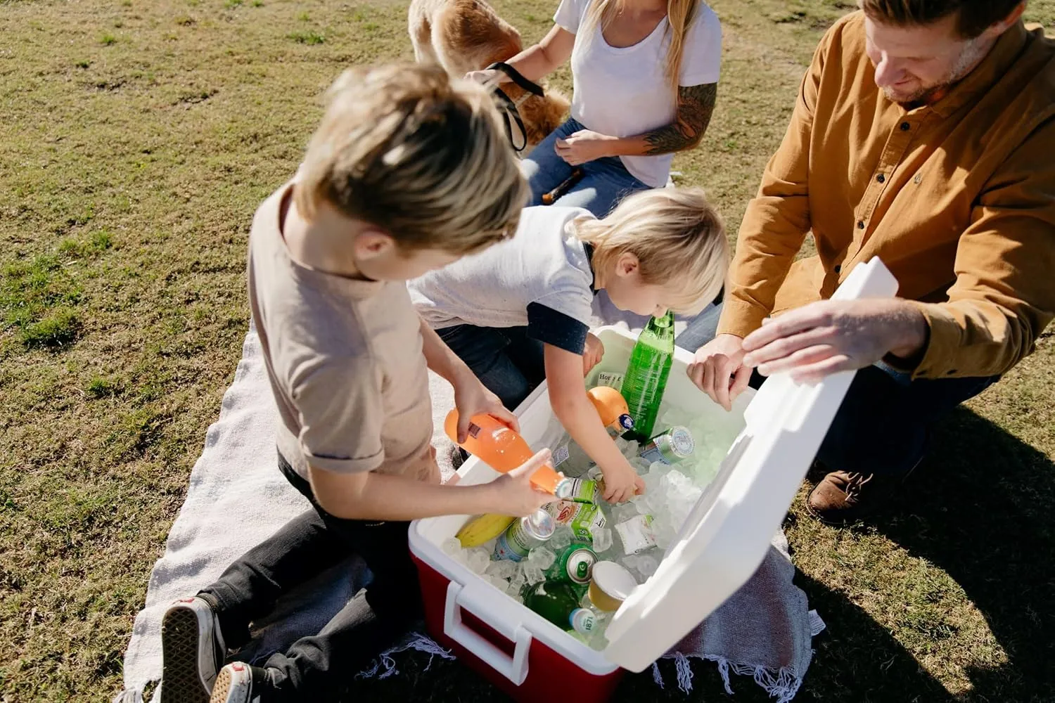48 QT Ice Chest Cooler, Large Picnic Bag with Handles,cans Cooler,Easy for Camping/Travel/Beach/Kayak/car