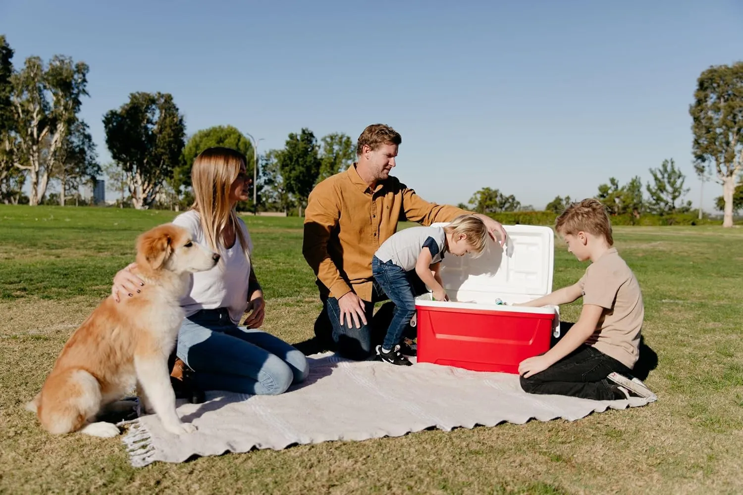 48 QT Ice Chest Cooler, Large Picnic Bag with Handles,cans Cooler,Easy for Camping/Travel/Beach/Kayak/car
