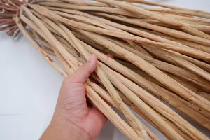50pcs natural dry water hyacinth raw, Raw material for making Handcraft, water hyacinth plants