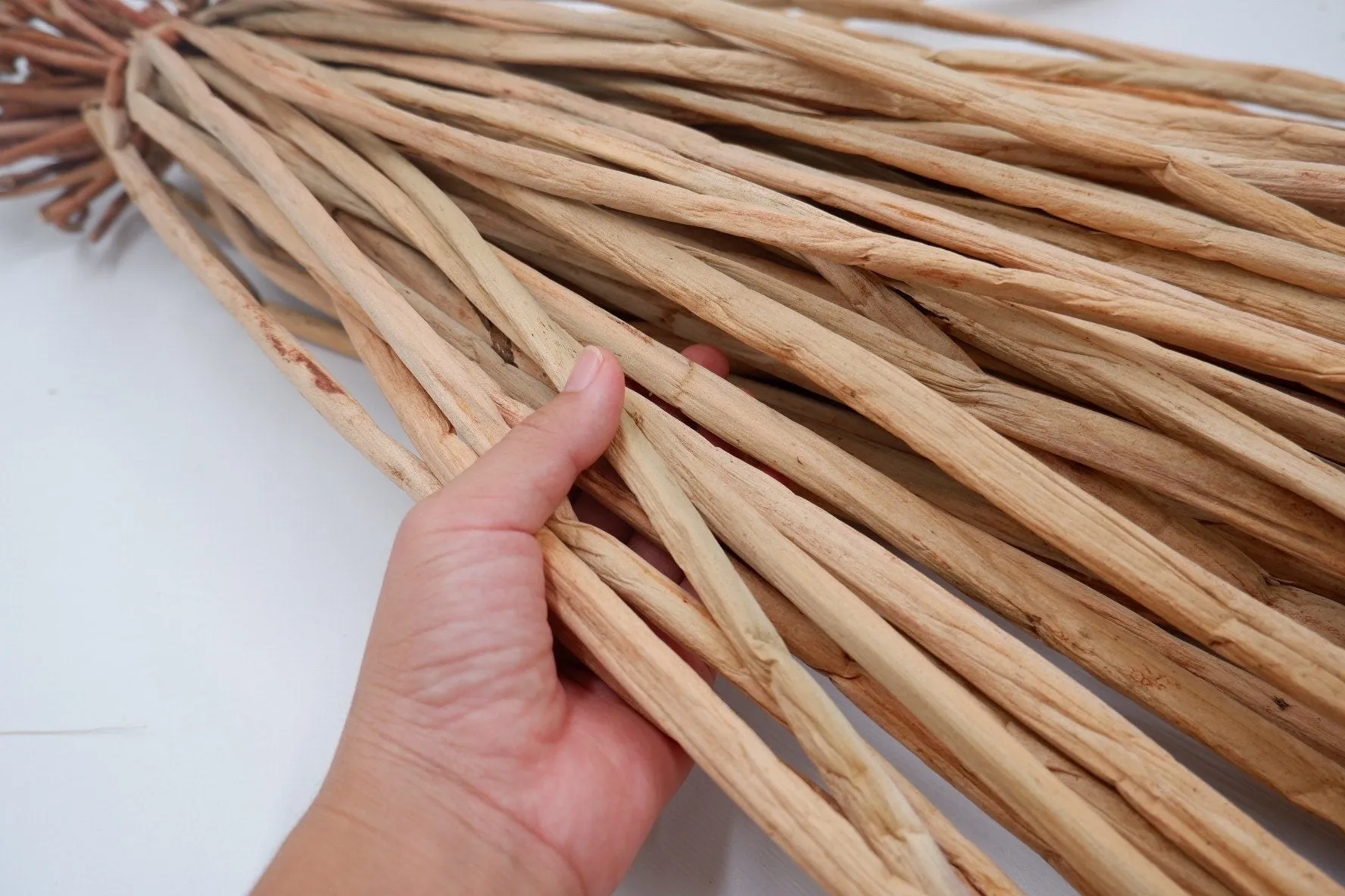 50pcs natural dry water hyacinth raw, Raw material for making Handcraft, water hyacinth plants
