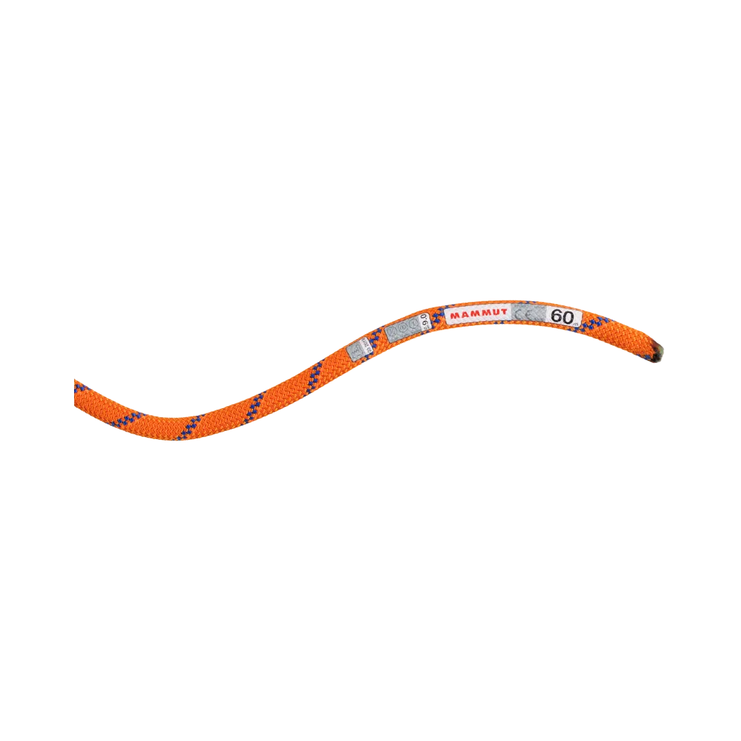 9.0 Alpine Sender Dry Rope