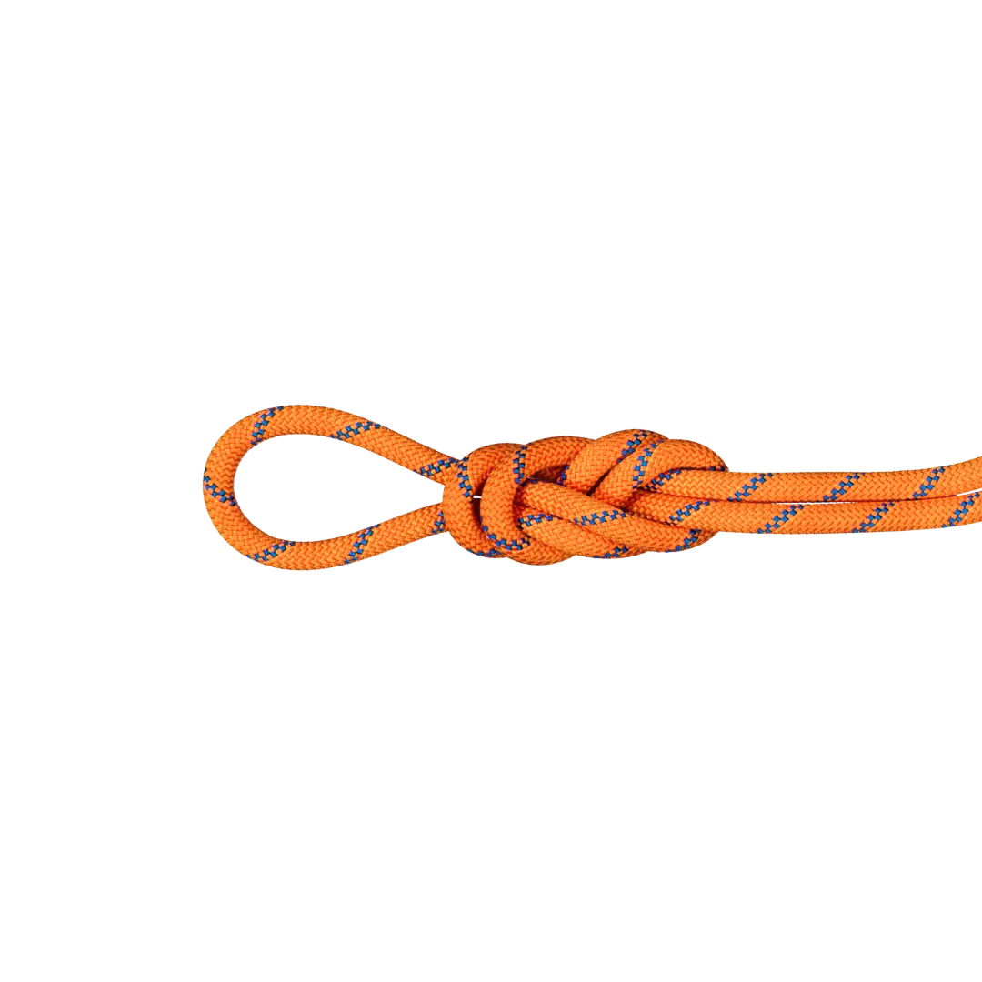 9.0 Alpine Sender Dry Rope