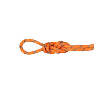 9.0 Alpine Sender Dry Rope
