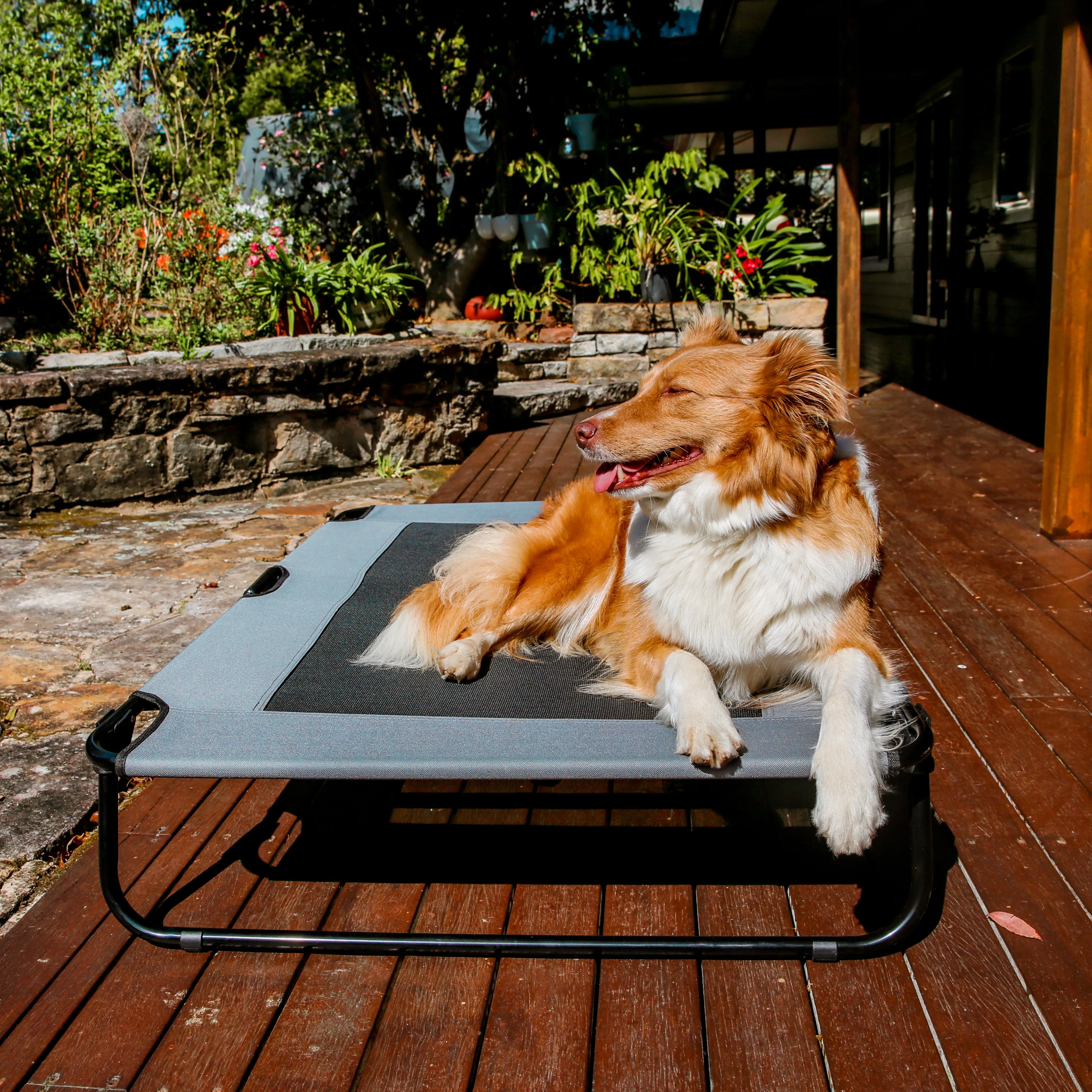 Adventure Foldable Travel Pet Cot Grey
