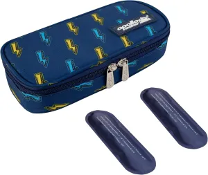 Apollo Walker Insulin Cooler Travel Case Diabetic Medication Cooler with Ice Packs and Insulation Liner