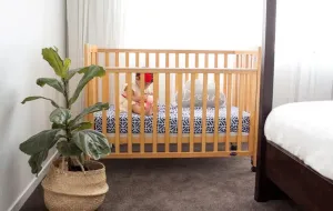 Babyhood Fold N Go Cot - Baltic Oak