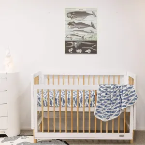 Babyhood Riya Cot 5 in 1