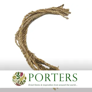 Banana 'Rope' (DRY) (x10)