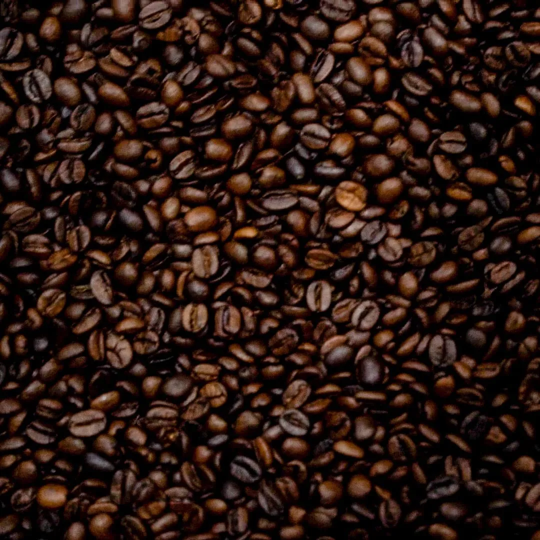 Blue Horse 100% Kona Coffee (Ground), Medium Roast Arabica coffee, 16 oz (1 lb) Bag, Farm Fresh, Authentic Hawaiian Coffee from the Big Island, Smooth & Bold Flavor, Hand-Picked & Sun-Dried for Rich Aroma