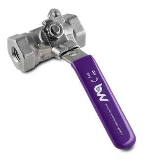 BVV 316SS FNPT Full Bore Ball Valve -40F to 450F-1/4-inch