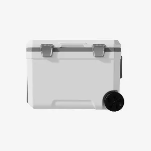 Car Camping Coolers for DeSoto Adventurer/Custom/Deluxe/Diplomat/Firedome, Waterproof Portable Cooler, Leak Proof Picnic Insulated Bag, Ultra-Light Premium Ice Chest Box,B-White-45L