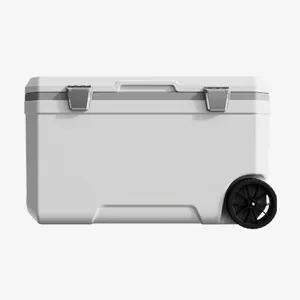Car Camping Coolers for Mercedes-Benz A-Class/B-Class/C-Class/E-Class/S-Class, Waterproof Portable Cooler, Leak Proof Picnic Insulated Bag, Ultra-Light Premium Ice Chest Box,B-White-70L