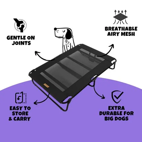 Charlie's - Adventure Foldable Travel Pet Cot 107x61x20cm - Large - Black