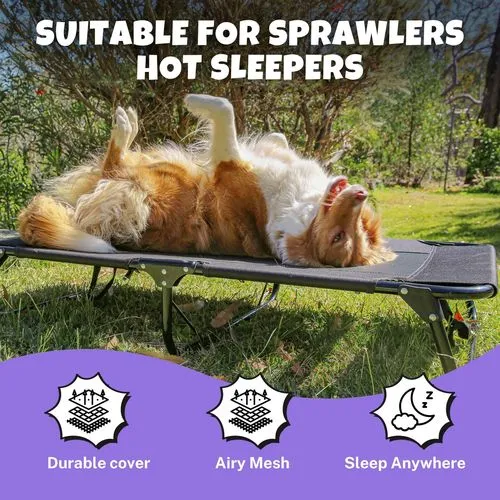 Charlie's - Adventure Foldable Travel Pet Cot 107x61x20cm - Large - Black