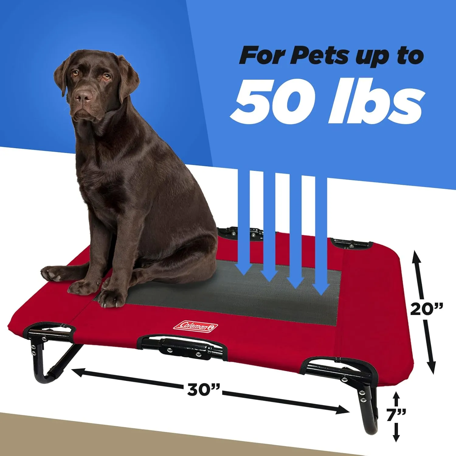 Coleman Elevated Folding Dog Cot, Medium, 20" x 30", Red