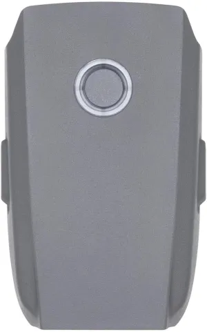 DJI Mavic 2 Enterprise Advanced Battery - Intelligent Flight Battery with Self-Heating and -10° C to 40° C Working Temperature for Search & Rescue, Fire Fighting, Inspection, and More, Gray
