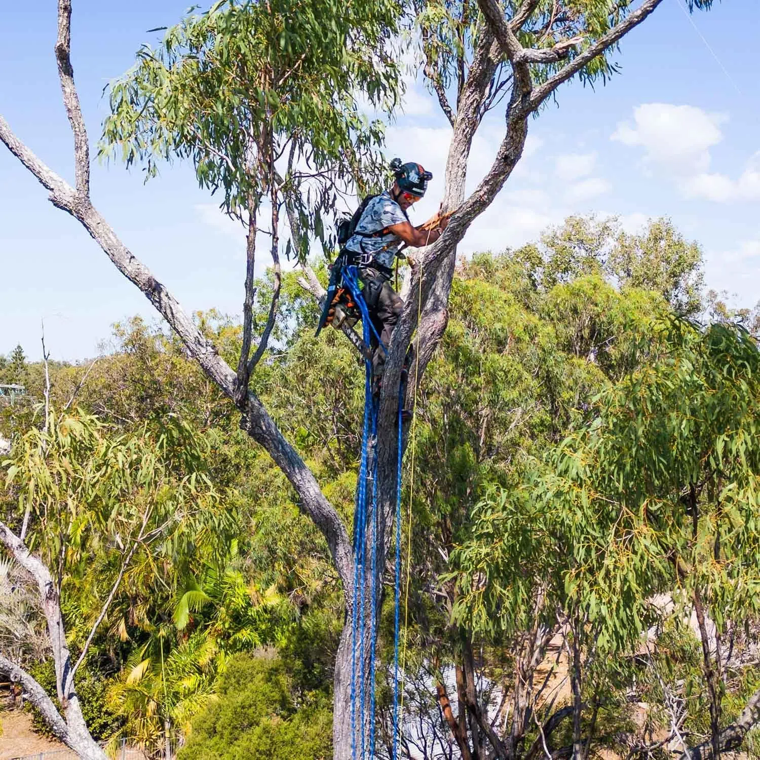 Double Braided Polyester Rope (1/2 Inch x 150 Feet) 48 Strands Strong Arborist Rope Climbing for Tree Work Pulling Swing Sailing, Blue