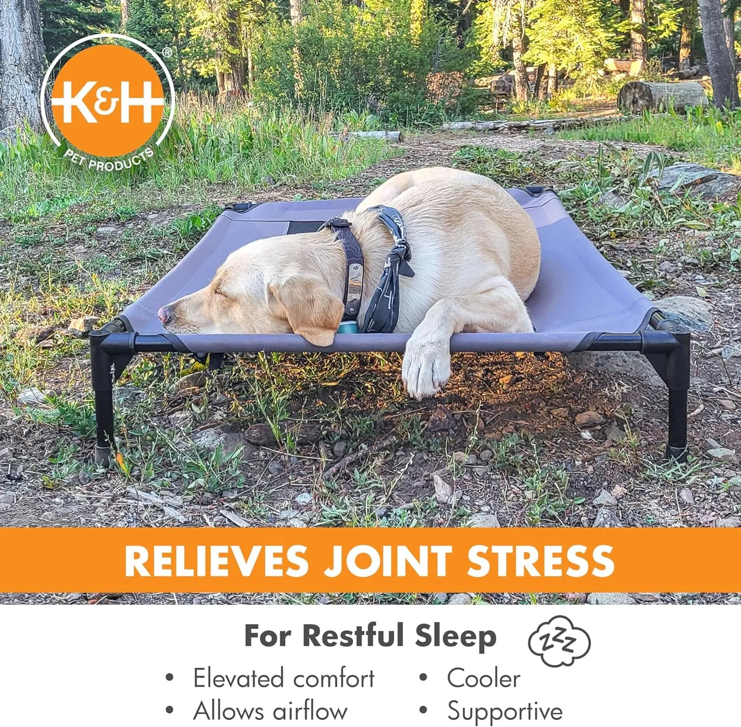 Elevated Dog Bed
