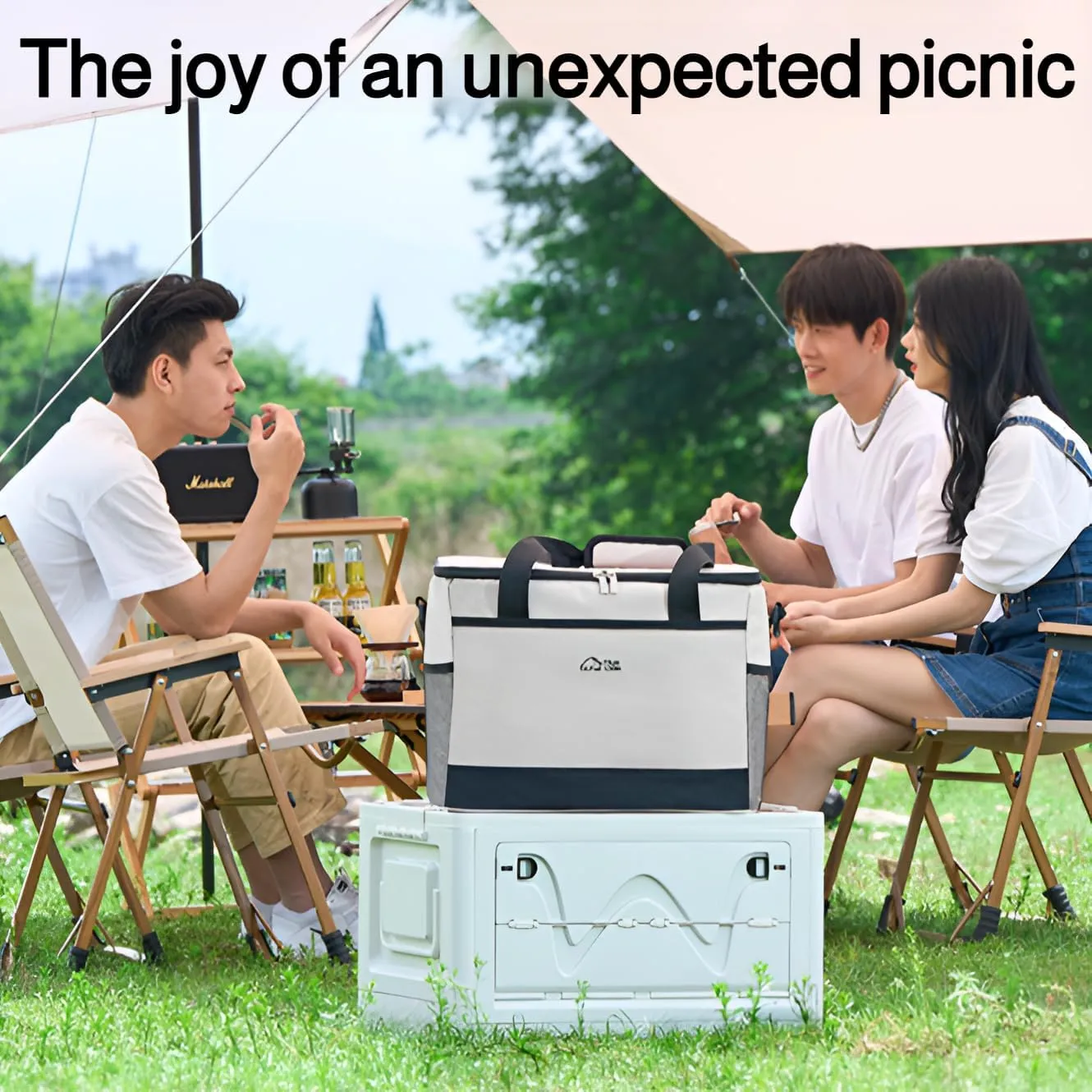 [Ellniges]【Outdoor Cooler Bag】 Portable Insulated Lunch Box for Camping & Picnic, 18L/30L Lightweight Thermal Food Delivery Bag with Waterproof Layer, 4-6Hrs Ness, Handheld/Shoulder Carry for Saud