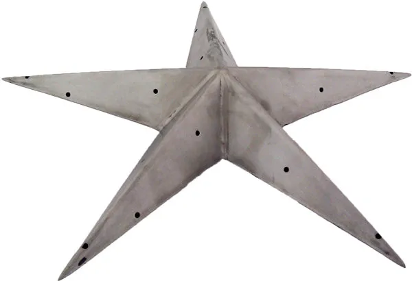 Fire Star 9 Inch Stainless Steel Burner
