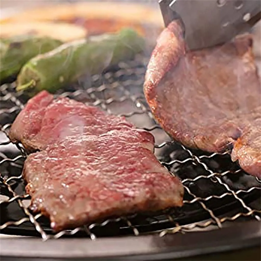 Food Grade Stainless Steel Grill Net Round Thick Grill Net Outdoor Grill Net Rack Carbon Grill Net(22cm)