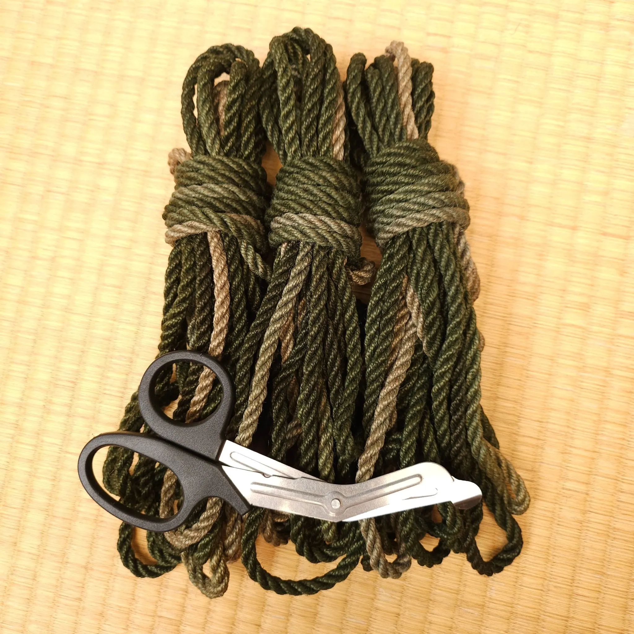Forest Ombre -  Jute shibari Rope