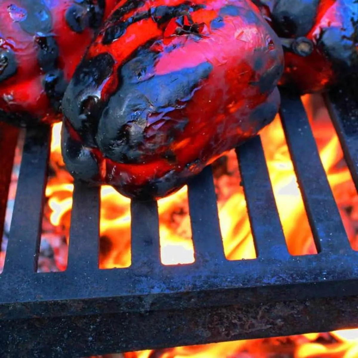 Goanna Fire Pit 80cm & Barramundi BBQ