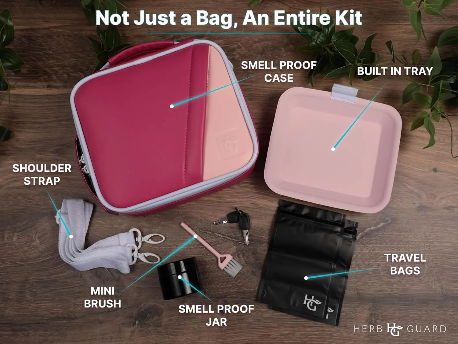 Herb Guard Large Pink Creamsicle Case with Built In Locks