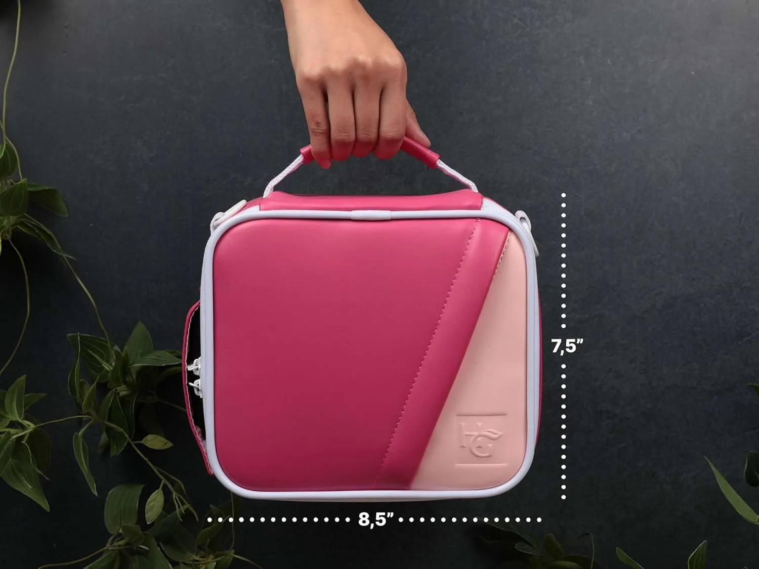 Herb Guard Large Pink Creamsicle Case with Built In Locks