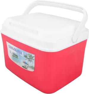 Insulated Portable Cooler, 5L Red Outdoor Hard Cooler with Handle and 5 Ice Bag, Portable Cooler and Warmer Ice Chest Box for Drink, Beverage, Fishing, Boat