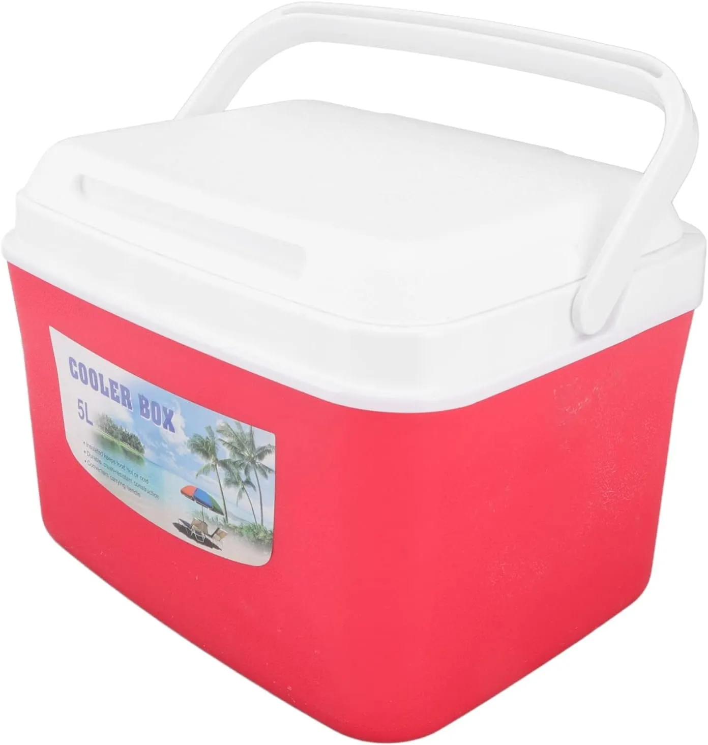 Insulated Portable Cooler, 5L Red Outdoor Hard Cooler with Handle and 5 Ice Bag, Portable Cooler and Warmer Ice Chest Box for Drink, Beverage, Fishing, Boat