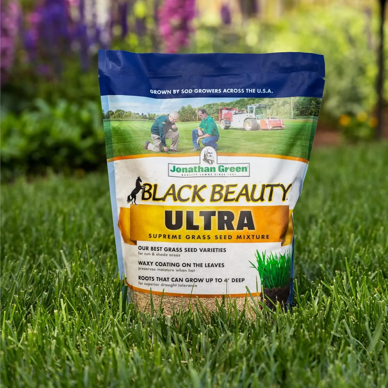 Jonathan Green (10324) Black Beauty Ultra Grass Seed - Cool Season Lawn Seed (50 lb)