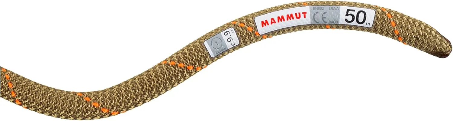 Mammut 9.9 Gym Workhorse Classic Rope