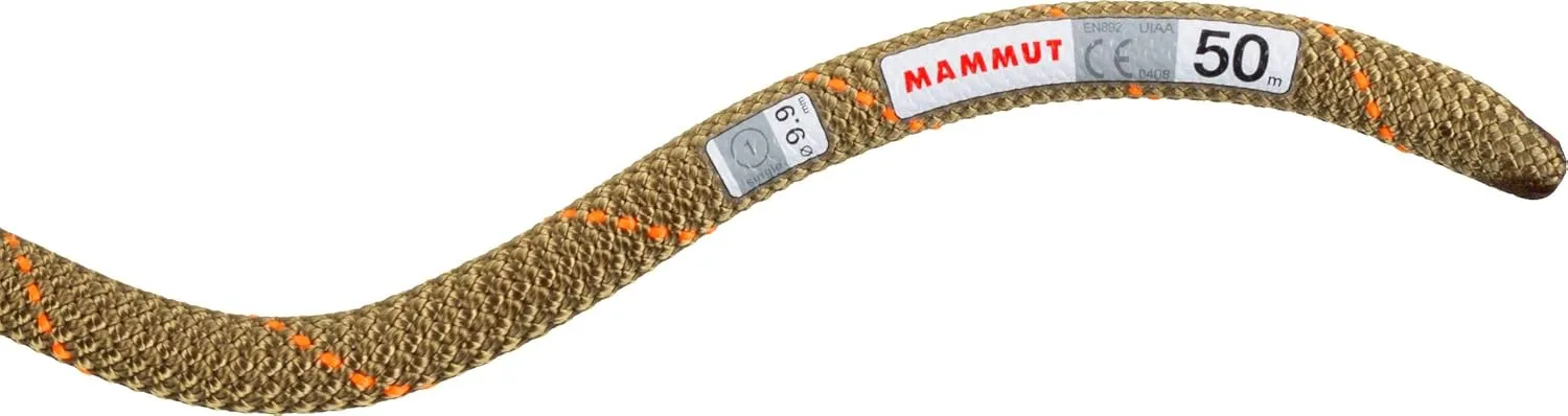 Mammut 9.9 Gym Workhorse Classic Rope
