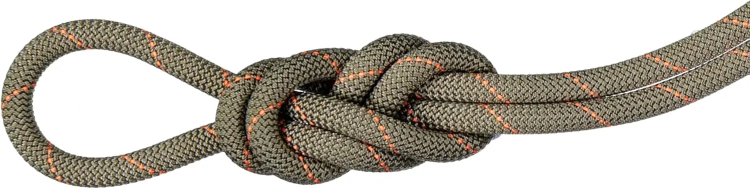 Mammut 9.9 Gym Workhorse Classic Rope