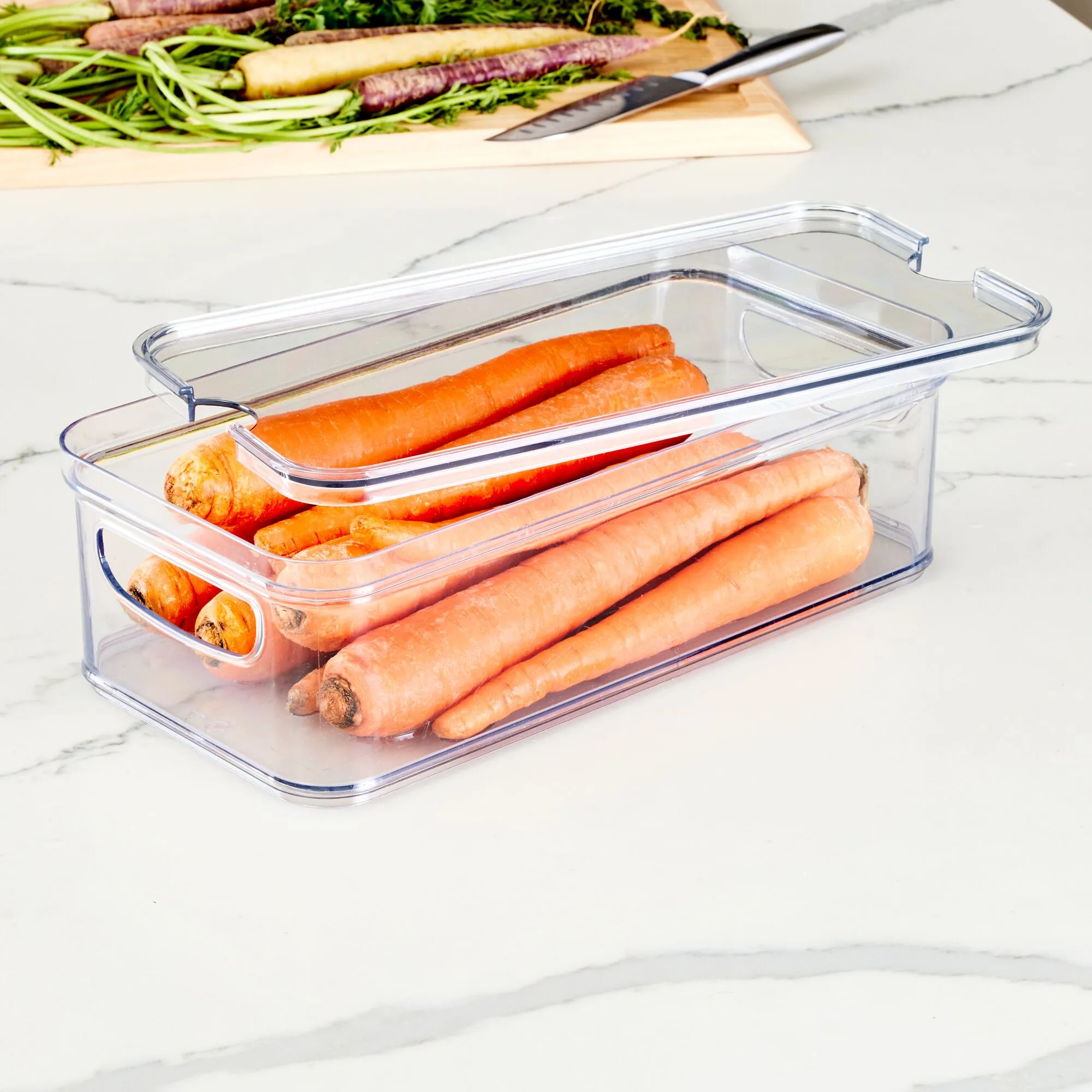 Multi-Purpose Divided Bin - With Tray made with Recycled Plastic