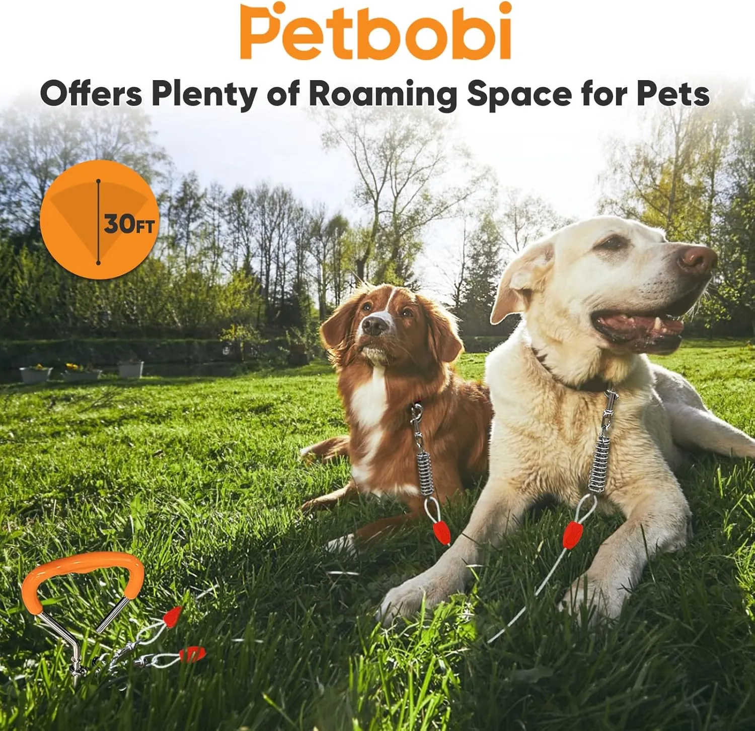 Petbobi Dog Tie-Out Cable and Stake - 30ft Heavy Duty Cable with Spring, No Tangle, 16in Ground Stake, Ideal for Yard, Camping and Beach, Suitable for Small Medium Large Dogs Up to 120 lbs, Silvery