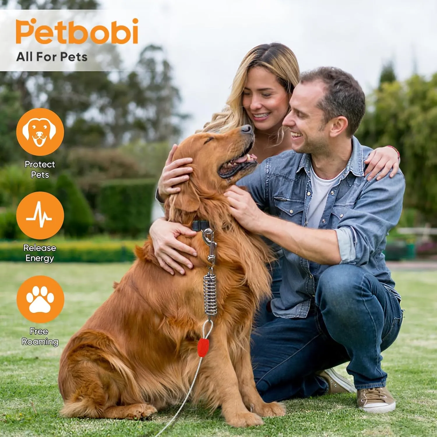 Petbobi Dog Tie-Out Cable and Stake - 30ft Heavy Duty Cable with Spring, No Tangle, 16in Ground Stake, Ideal for Yard, Camping and Beach, Suitable for Small Medium Large Dogs Up to 120 lbs, Silvery