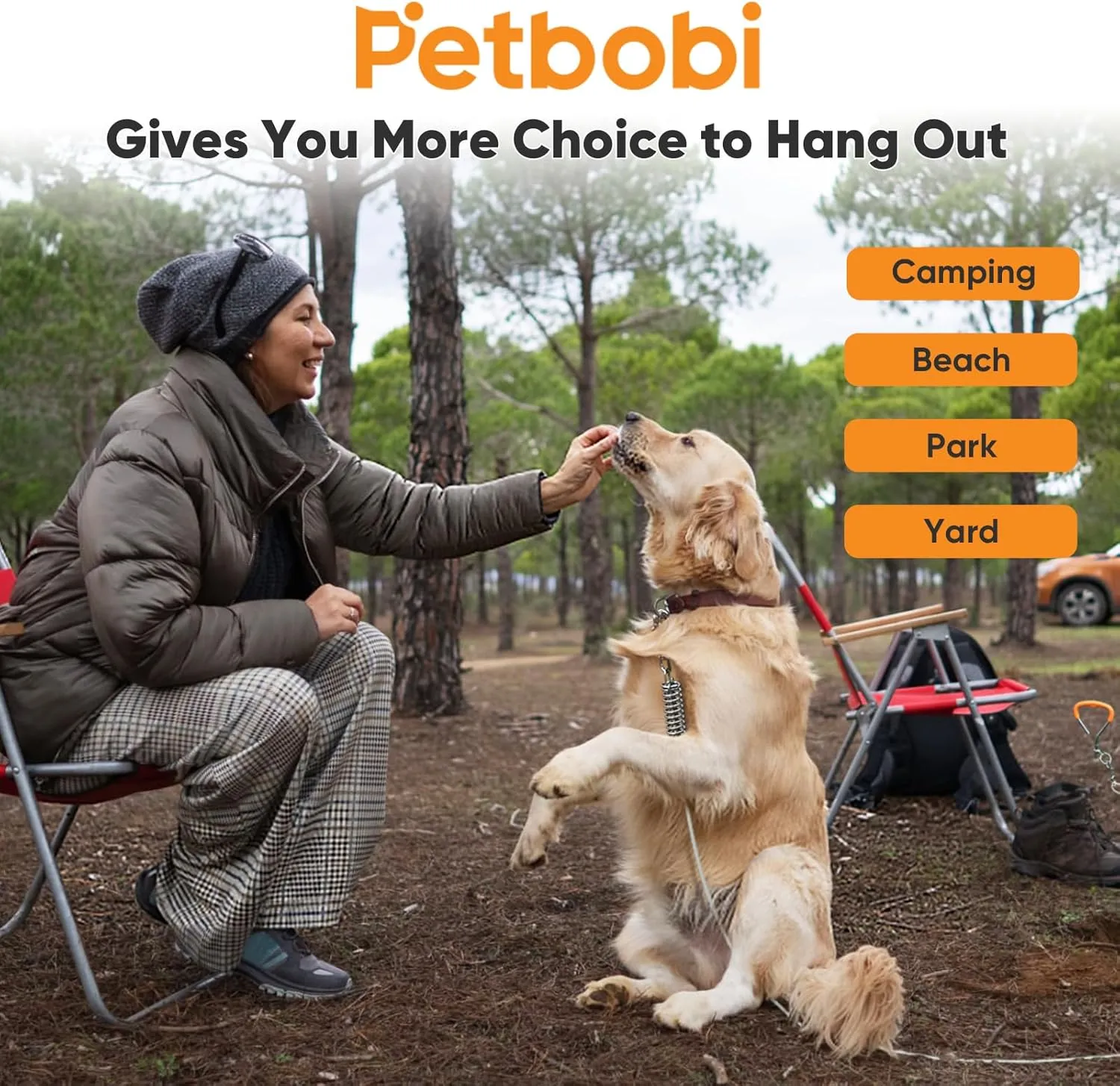 Petbobi Dog Tie-Out Cable and Stake - 30ft Heavy Duty Cable with Spring, No Tangle, 16in Ground Stake, Ideal for Yard, Camping and Beach, Suitable for Small Medium Large Dogs Up to 120 lbs, Silvery