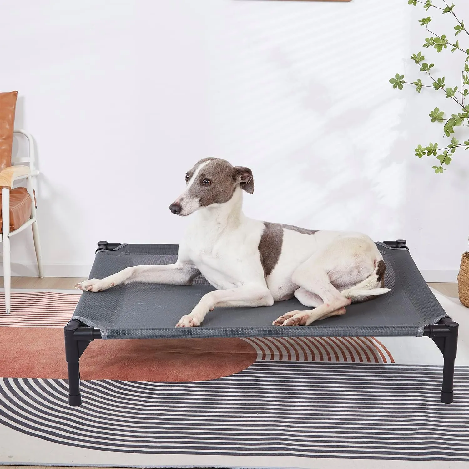 pettycare Elevated Outdoor Dog Bed - Dog Cots for Large Dogs XL, Heavy Duty Raised Cot Waterproof, Cooling Pets Bed with Washable Durable Teslin Mesh and Non Slip Feet, 49 Inches, Grey