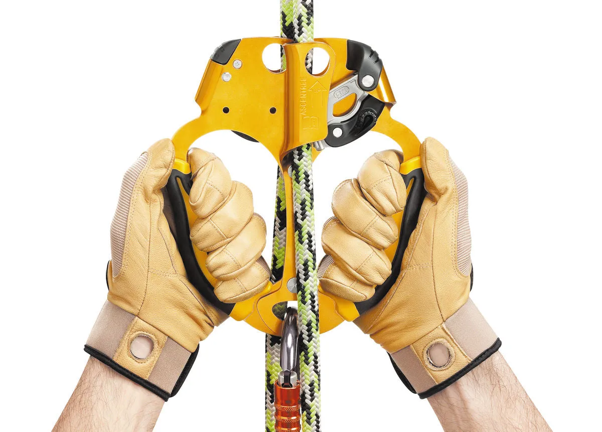 PETZL Ascentree