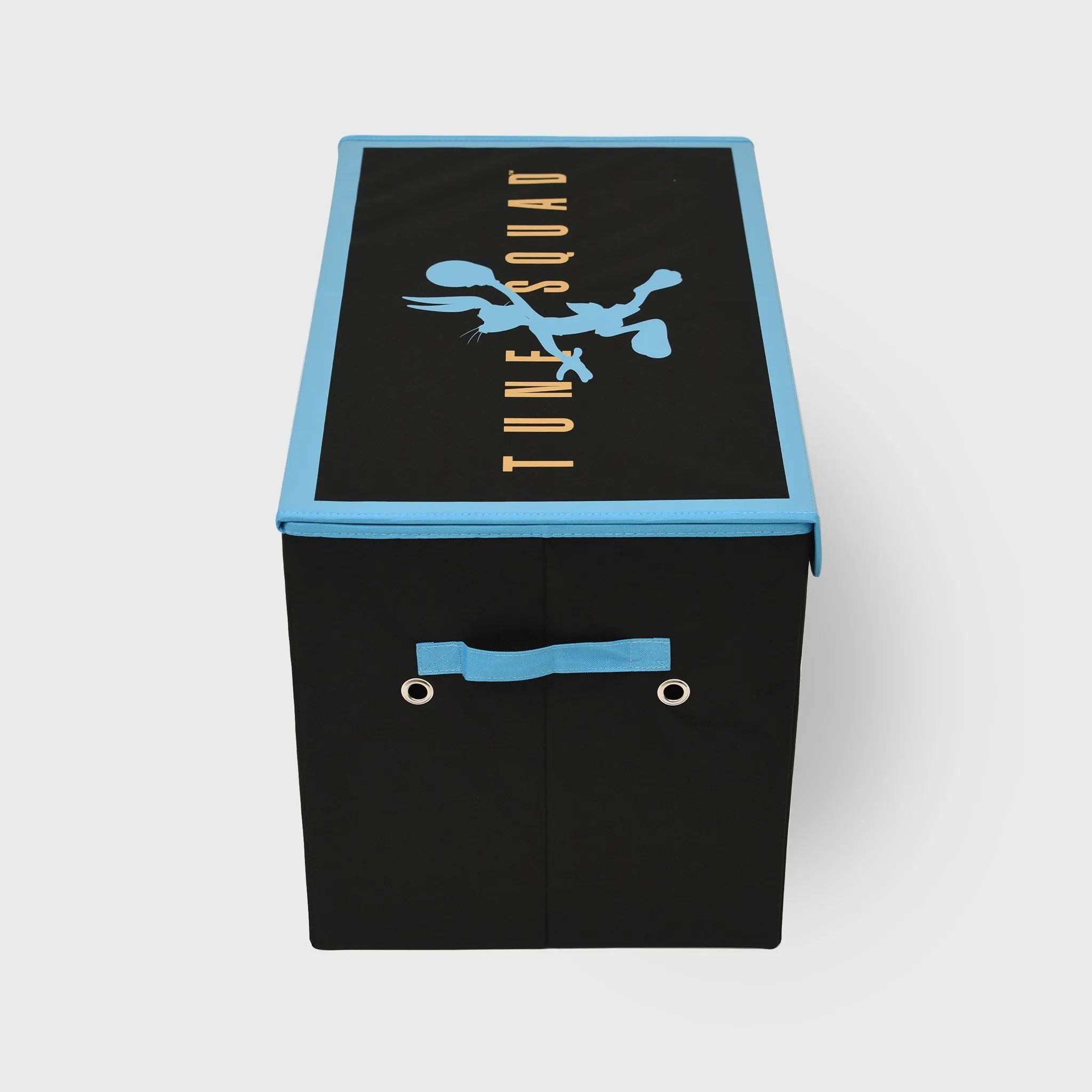 Space Jam Collapsible Storage Bin