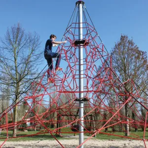 Spider Climber 6-6