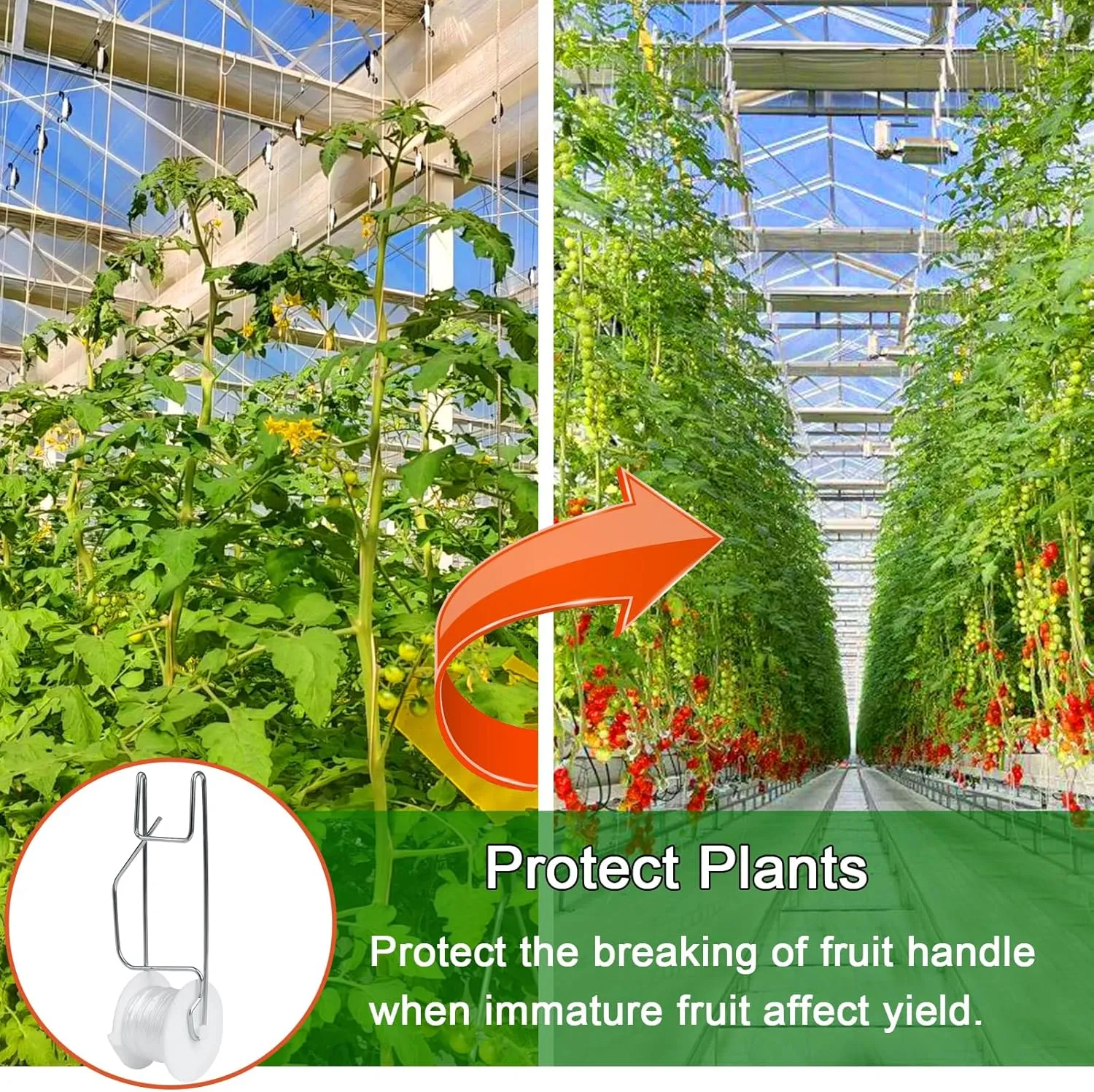 Tomato Support Hooks with String 20 Pcs,100 Pcs Plant Support Clips for Climbing Plants,Tomato Trellis Roller Hooks with 49.2FT String,Reusable Grape Vine Clips to Prevent Tomatoes