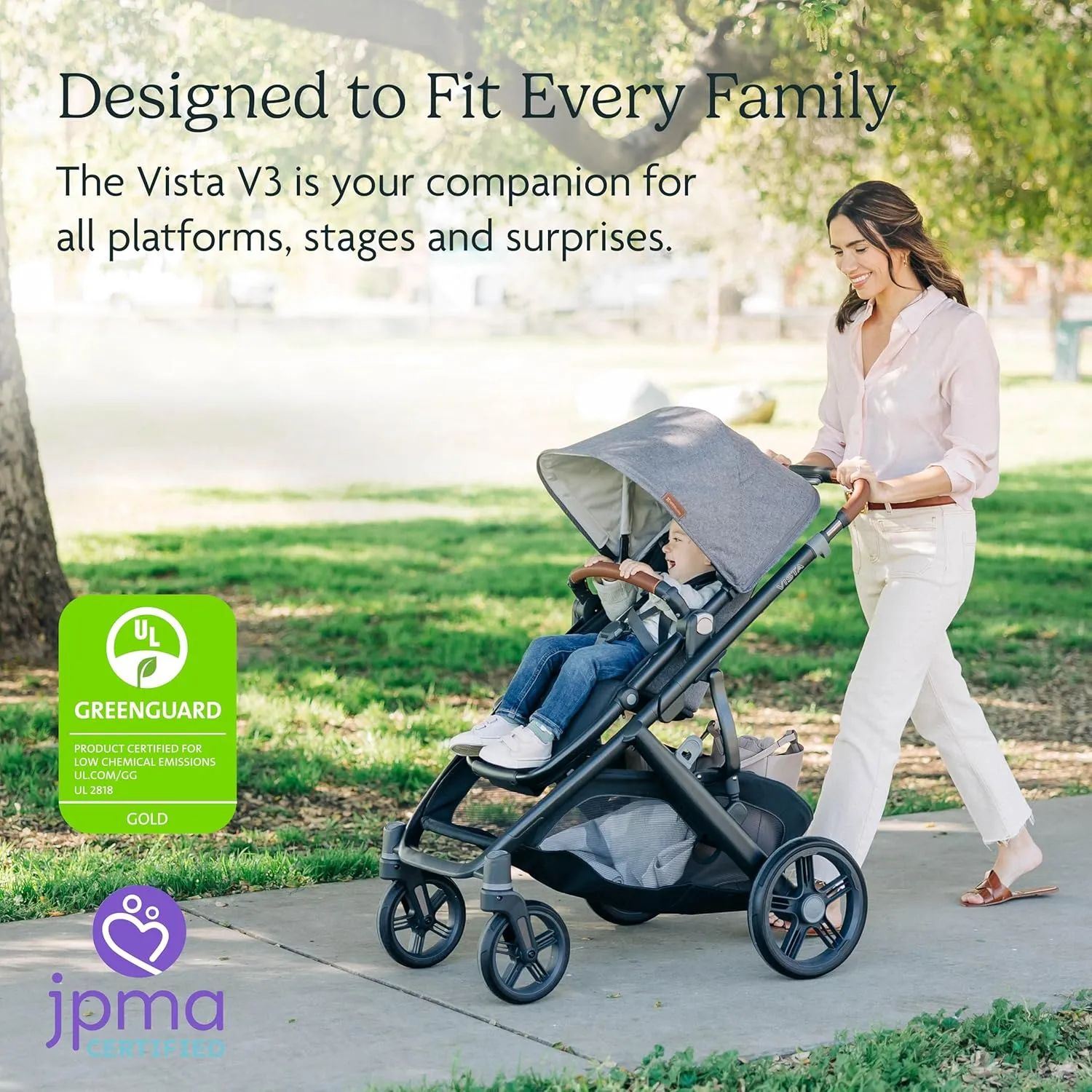 UPPAbaby Vista V3 Stroller - Full-Size Single-to-Double Stroller System - Toddler Seat, Bug Shield, Rain Shield, and Storage Bag Included - Theo (Dark Taupe/Silver Frame/Chestnut Leather)